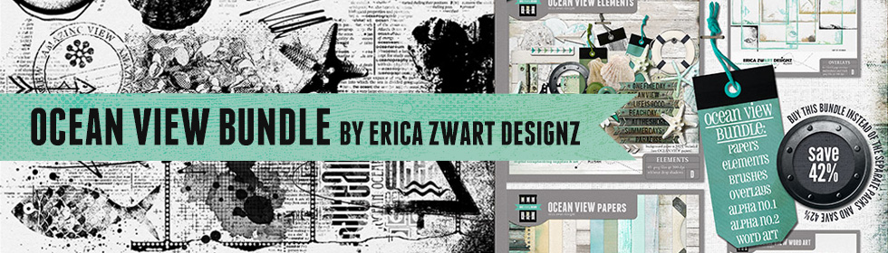 Erica Zwart Designs