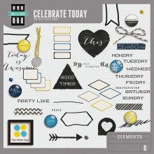 Celebrate Today Pocket Bits