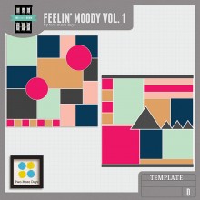 Feelin' Moody Vol. 1