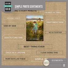 Simple Photo Sentiments