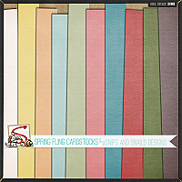 Spring Fling Cardstock by Snips and Snails Designs