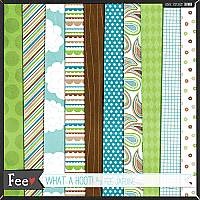 What a Hoot - Papers