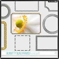 Blingitty Bling Frames
