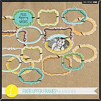Fixer Upper Frames