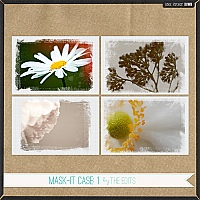 Mask-It Case:1
