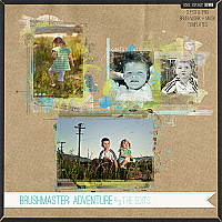 Brushmaster: Adventure