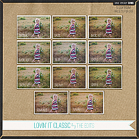 Lovin' It Classic: Presets for Lightroom