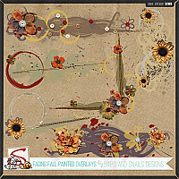 Fading Fall Painted Overlays by Snips and Snails Designs