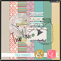 These Moments Mini Kit