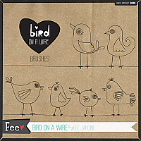 Bird On A Wire Brushes