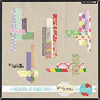 The Pocketful of Posies Tapes