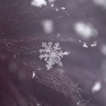 Photo Challenge | COLD